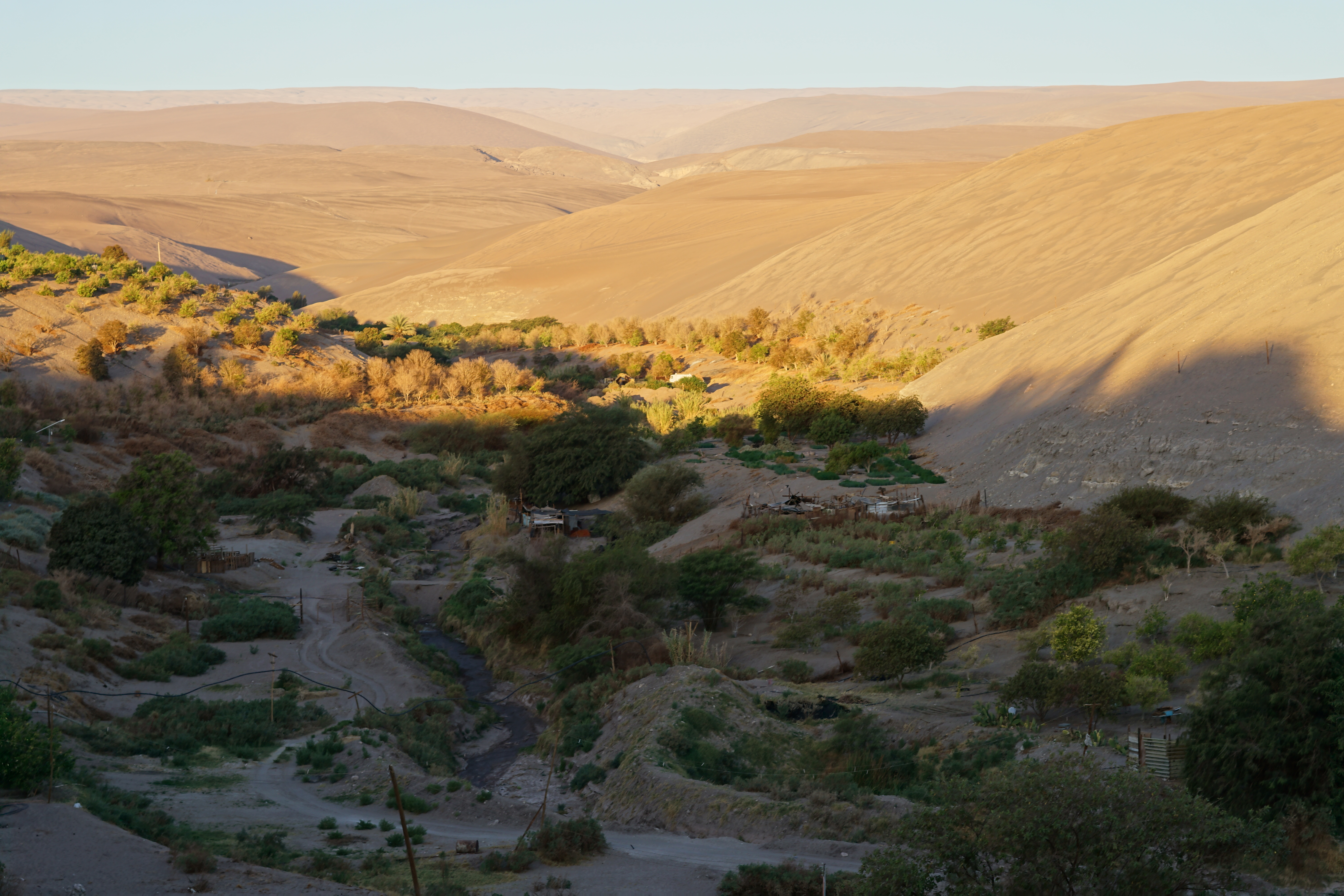 Valle de Quisma - Avistamiento de aves